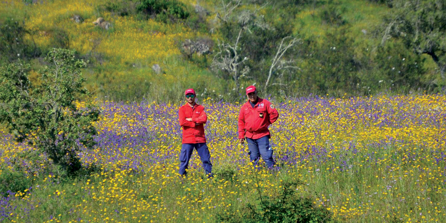 trail bombeiros voluntários de mora - Arquiled apoia os Bombeiros Voluntários de Mora